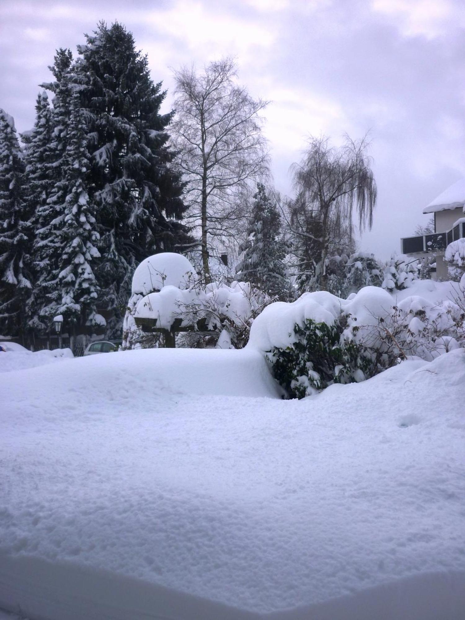 Hotel Forsthaus Winterberg Exteriér fotografie